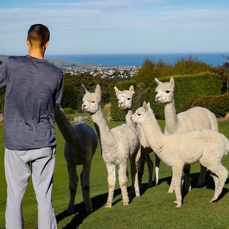 Alpaca Farmstay Dunedin Exterior photo